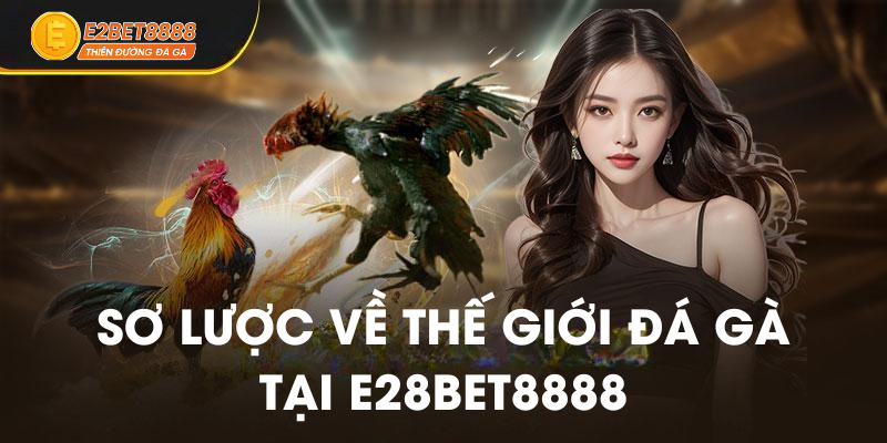 Sơ lược về đá gà tại E28BET8888