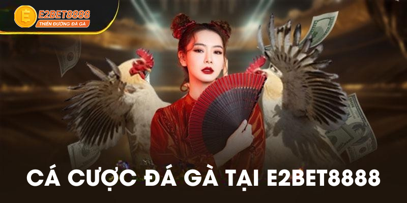 Cá cược đá gà tại E2BET8888