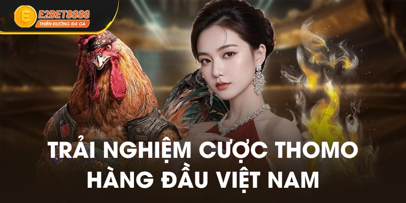 Trải nghiệm cược thomo tại E2BET8888